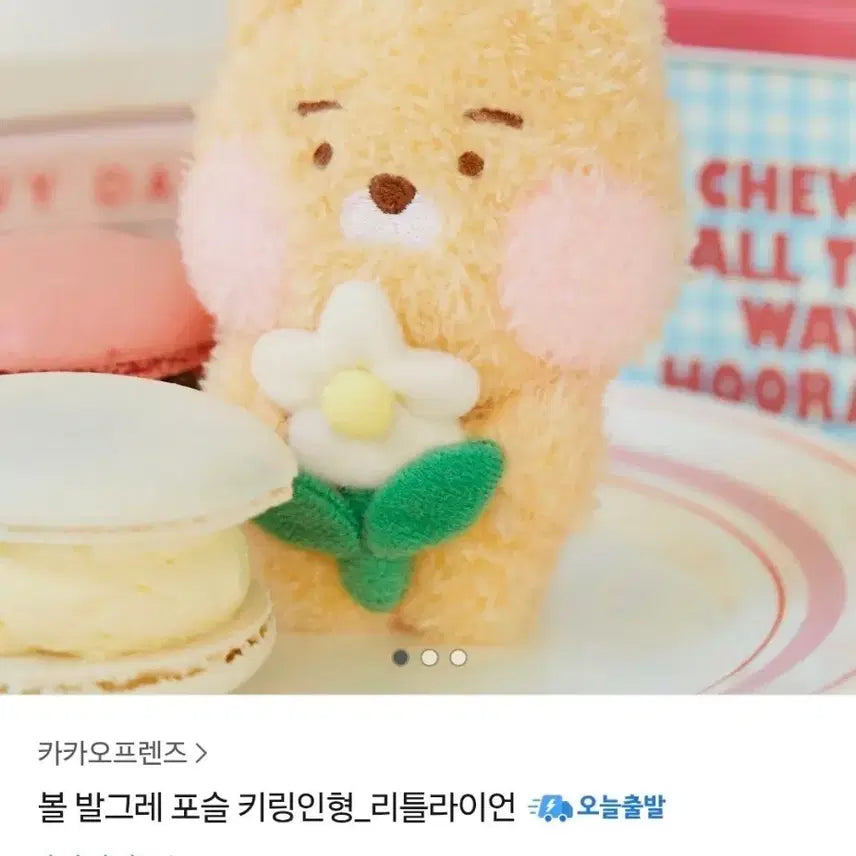 [BUNJANG] Kakao Friends Volbalgeure Little Ryan Posle Doll Keyring / 카카오프렌즈 볼발그레 포슬인형키링(리틀라이언)