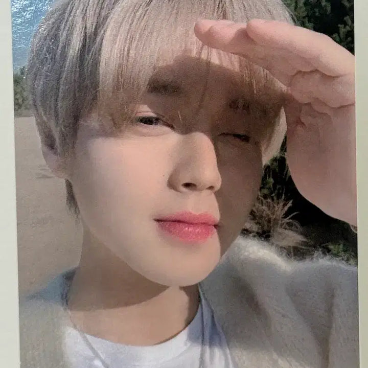 [BUNJANG] Park Ji Hoon Mini 2nd Album 360 Photocard / 박지훈 미니 2집 360 앨범 포카