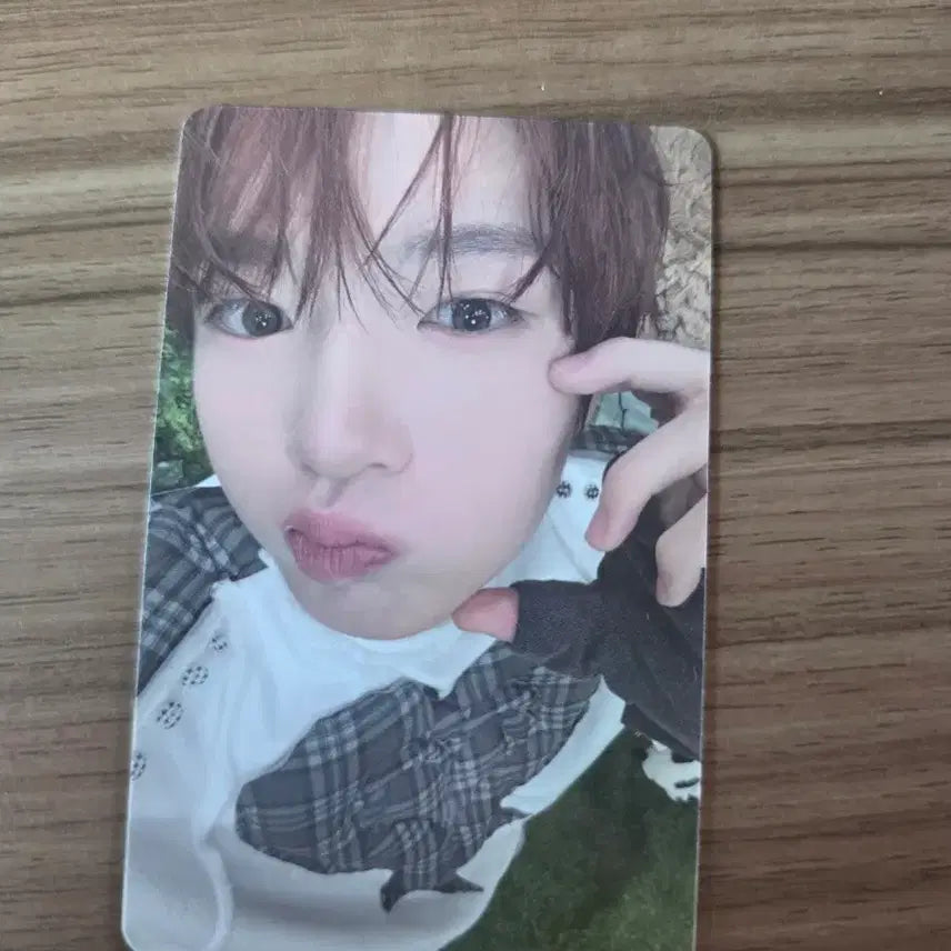 [BUNJANG] NCT WISH Sakuya Color Album Photocard / 엔시티위시 사쿠야 color 앨범 포토카드 양도