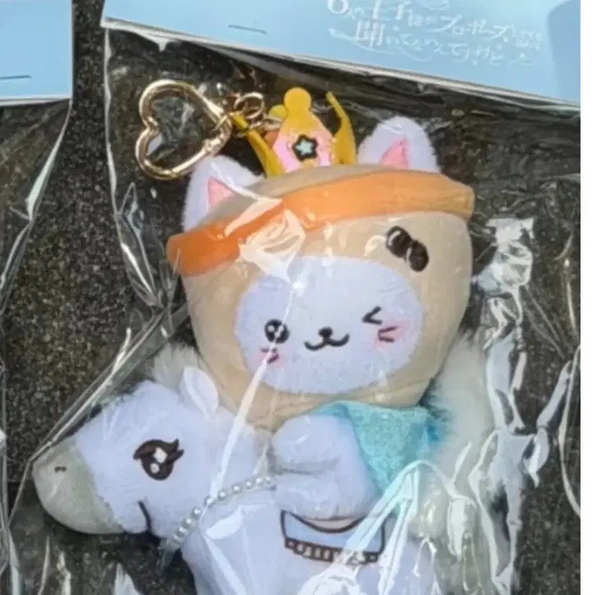 [BUNJANG] NCT WISH Japan Fanmeeting Wish Doll Keyring Yushi Bubble Cat / 엔시티 위시 일본 팬미팅 위시돌키링 유우시 버블냥
