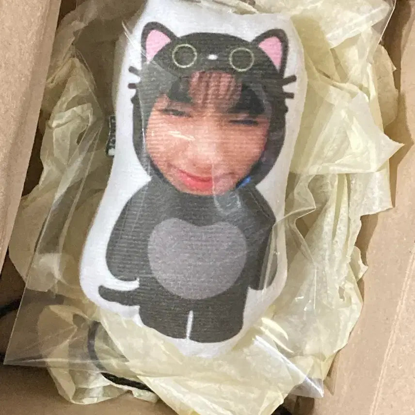 [BUNJANG] BOYNEXTDOOR Taesan Cat Plush Doll / 보이넥스트도어 태산 인형 양도
