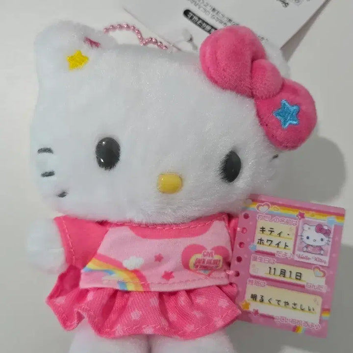 [BUNJANG] Sanrio Hello Kitty Plush Keychain / 정품 산리오 헬로키티 프로필북 마스코트 인형 키링 새상품