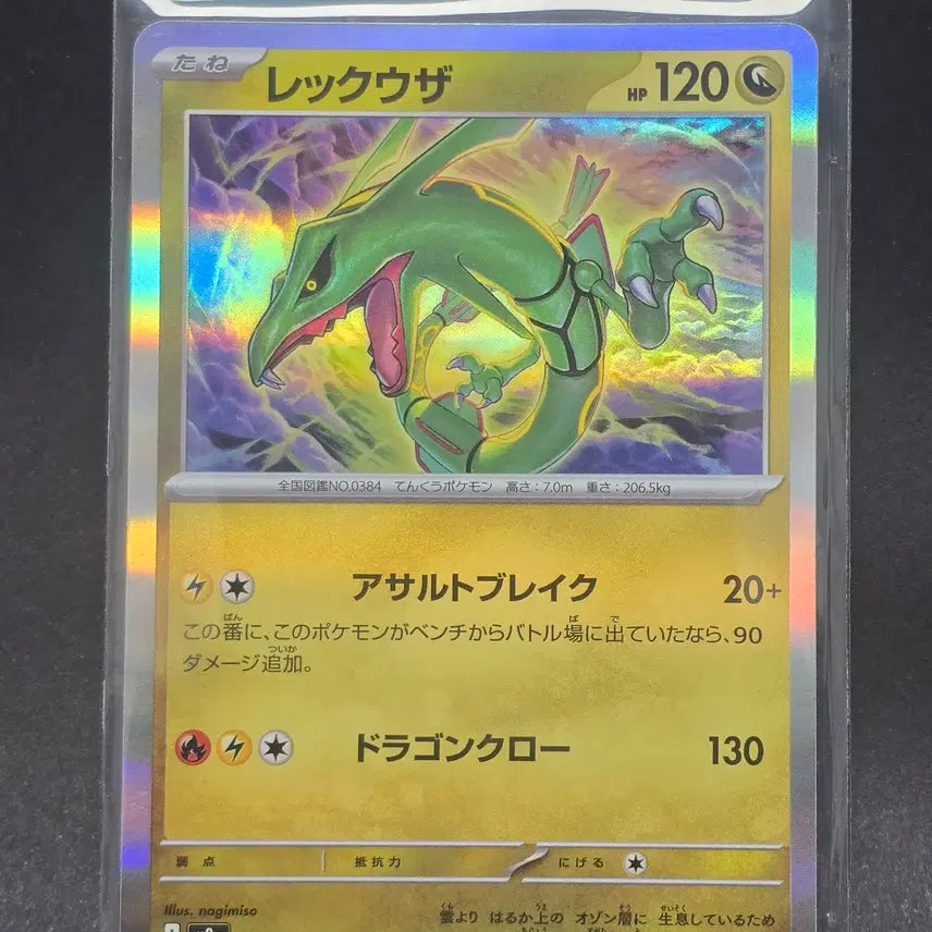 [BUNJANG] Rayquaza Holo Card Japanese / 포켓몬카드 레쿠자카드 일판