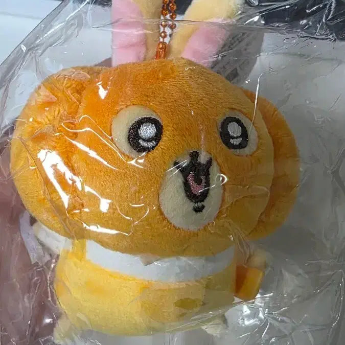 [BUNJANG] Pumpkin Usagi Mako Official / 할로윈 호박우사기 마코 정품 판매