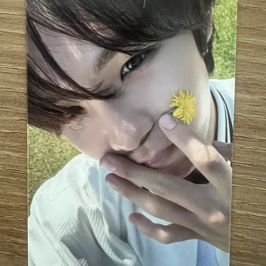[BUNJANG] Dandelion Taro Photocard / 민들레타로^y^