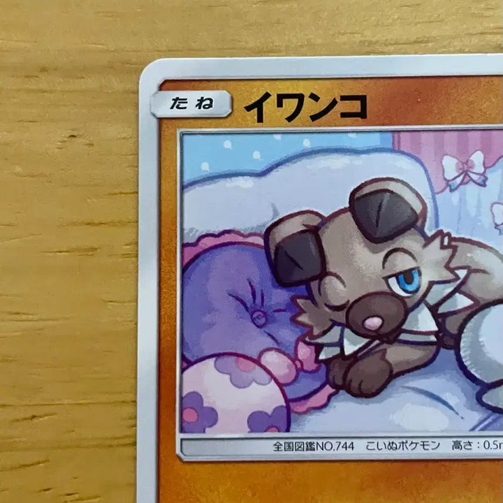 [BUNJANG] Pokemon Card Lycanroc 047/095 Pikachu Cameo / 일판 포켓몬카드 암멍이 047/095 피카츄 카메오