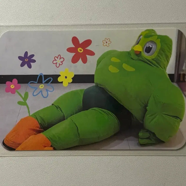 [BUNJANG] Duolingo Character Photocard / 듀오링고 캐릭터 포토카드