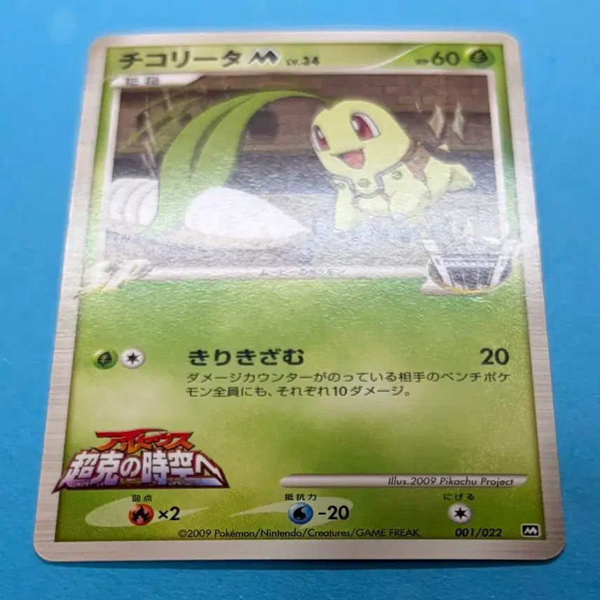 [BUNJANG] Pokemon Card Japanese Chikoryta M 001/022 Promo / 포켓몬카드 일판 치코리타 M 001/022 프로모