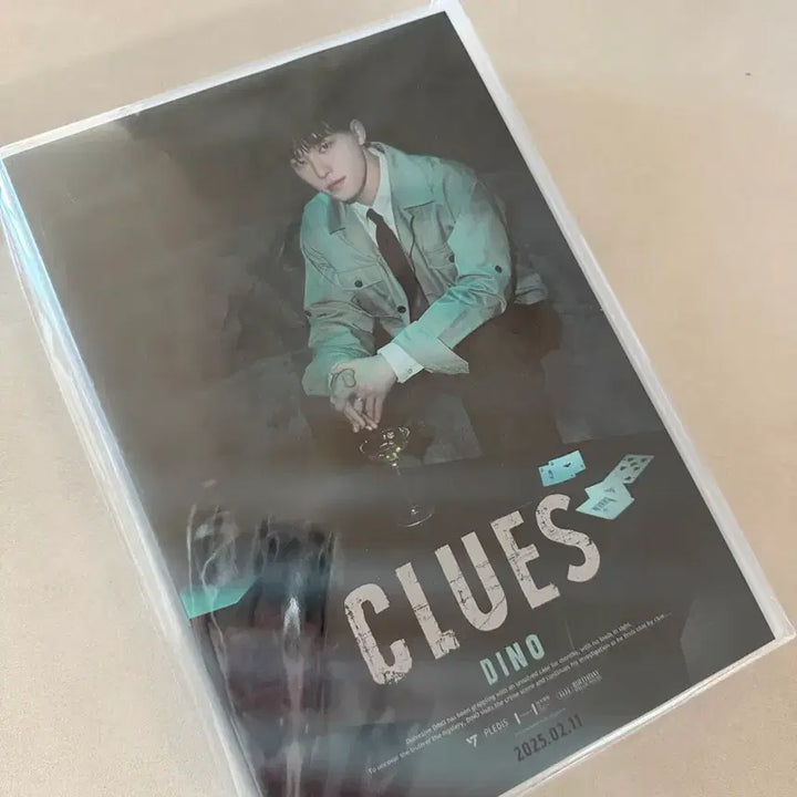 [BUNJANG] Seventeen Dino Birthday Photobook (Sealed) / (미개봉새상품)세븐틴디노생일포토북