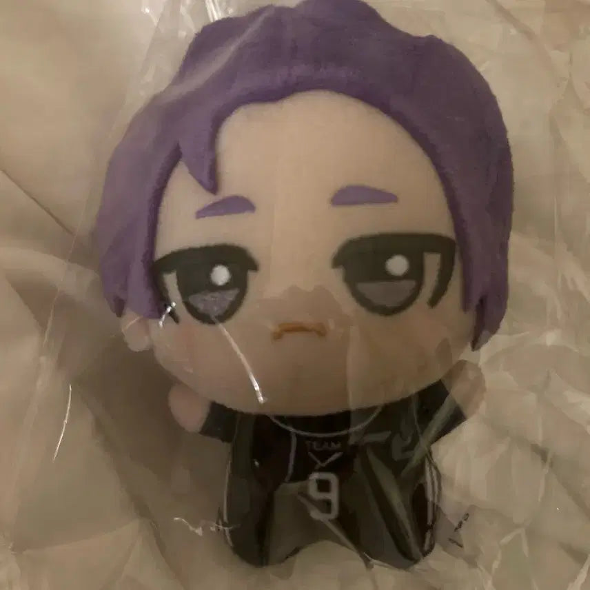 [BUNJANG] Blue Lock Nagi Seishiro Chibi Plush Doll / 급처/ 블루록 레오 치비누이 인형 1.3