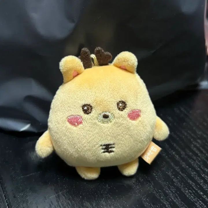 [BUNJANG] RIIZE Urararararara Mini Photocard Holder / 리라즈 우락밤 미니 팔아요!