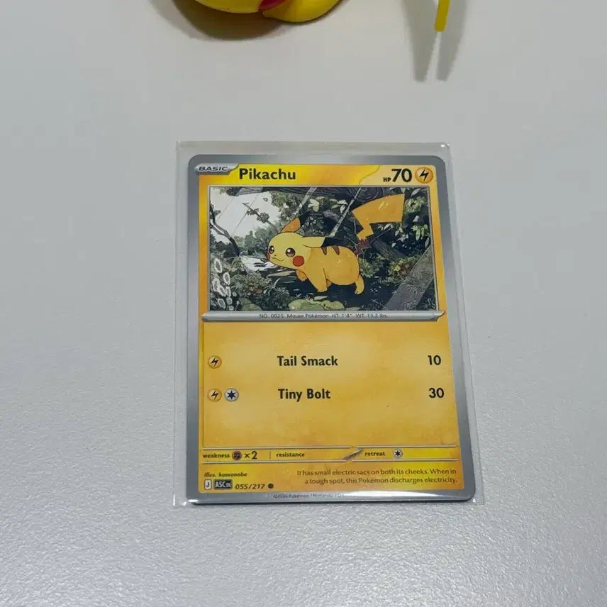[BUNJANG] Pokemon Pikachu (North America) Card / 포켓몬 카드 피카츄 (북미)