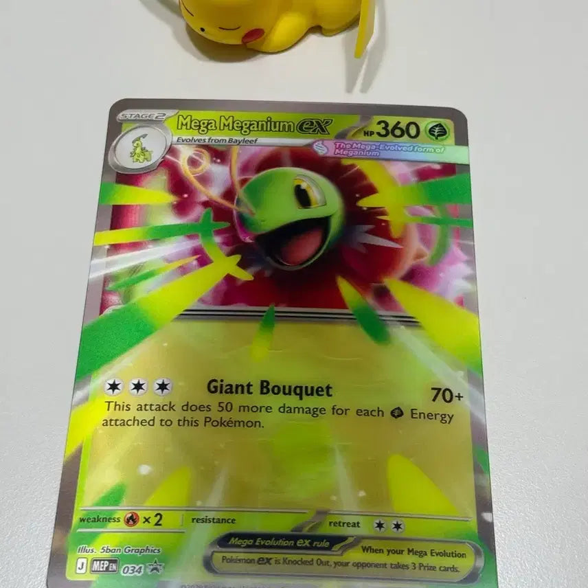 [BUNJANG] Pokemon Card Mega Meganium EX Promo Oversized (North America) / 포켓몬 카드 메가 메가니움 EX 프로모 대형 (북미)