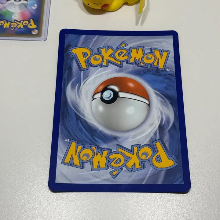 [BUNJANG] Pokemon Card Mega Meganium EX Promo Oversized (North America) / 포켓몬 카드 메가 메가니움 EX 프로모 대형 (북미)