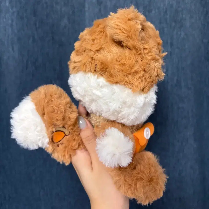 [BUNJANG] Innis Spring Series Squirrel Plush Toy / 이니스 봄 시리즈 다람쥐 인형