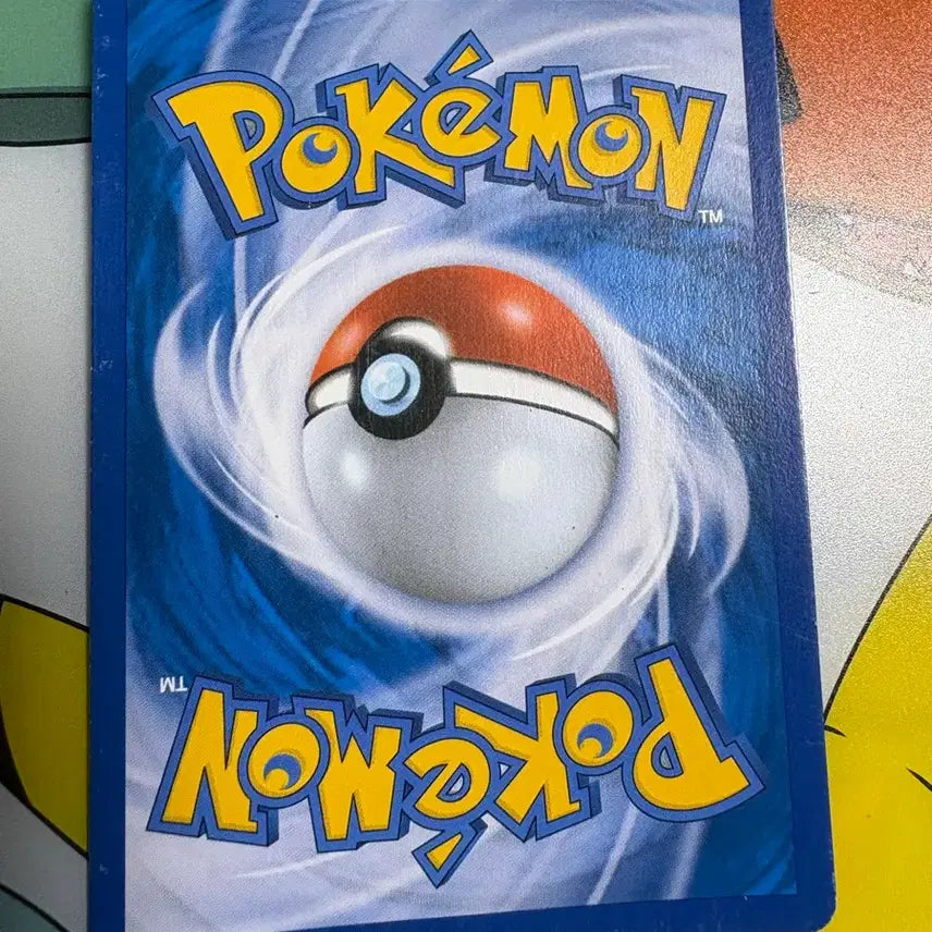 [BUNJANG] Pokemon Karen Trainer Card / 포켓몬 카렌