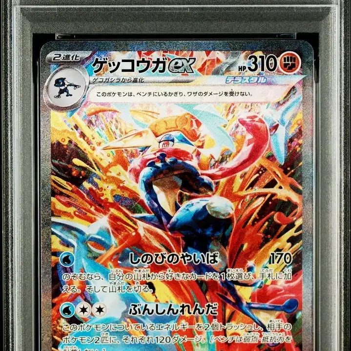 [BUNJANG] Pokemon TCG Crimson Haze Greninja PSA 10 Graded Card / 포켓몬 카드 일판 크림슨 헤이즈 개굴닌자 psa 10 팝니다.