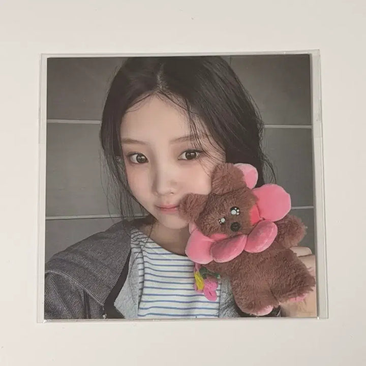 [BUNJANG] ILLIT Wonhee "Bearny" Plush Keychain POB Postcard / 아일릿 원희 곰돌희 인형 플러시 키링 특전 엽서 ㅅㅊ 포카 앨범