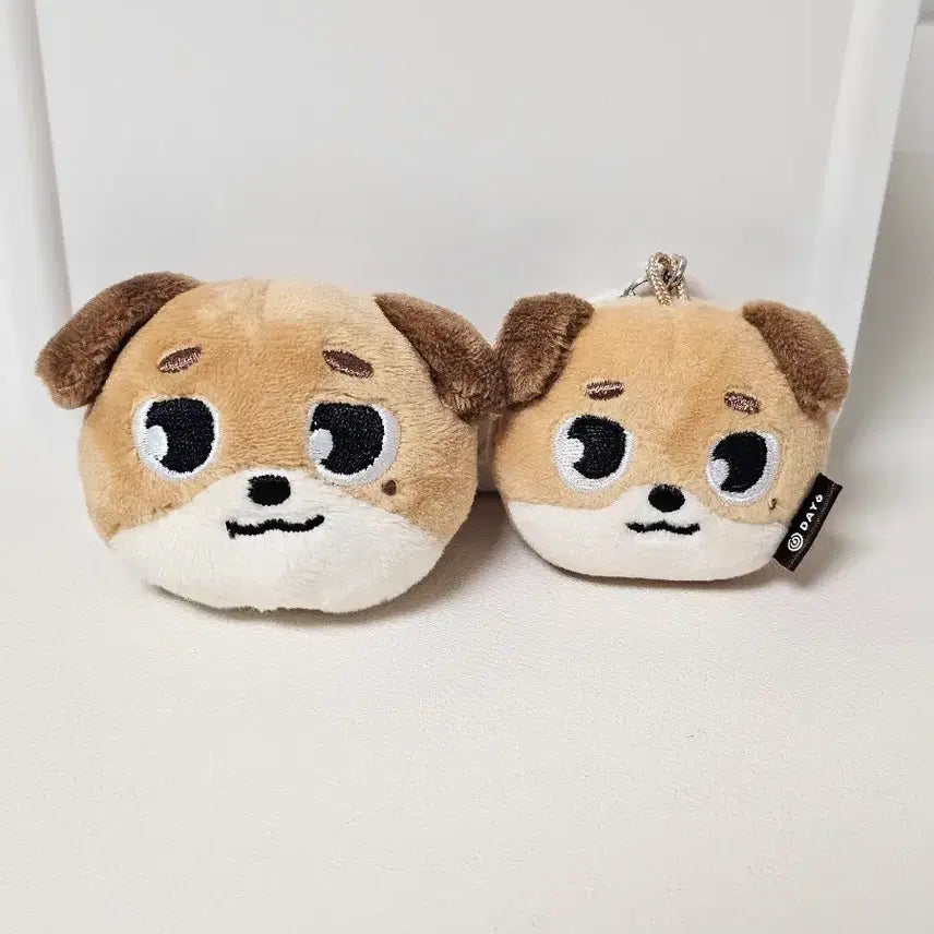 [BUNJANG] DAY6 Dowoon Soft Toy Badge, Face Keyring / 데이식스 도운 돈 엠디(소프트 토이 뱃지, 페이스키링)