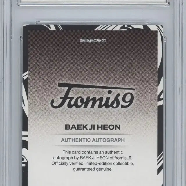 [BUNJANG] Tercera Baek Ji-heon Auto BRG Slab / 테레카 백지헌 오토 brg슬랩