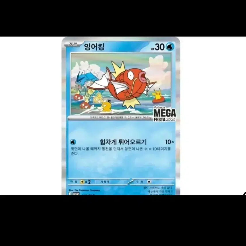 [BUNJANG] Pokemon Magikarp Promo Card / 포켓몬 잉어킹 프로모 카드
