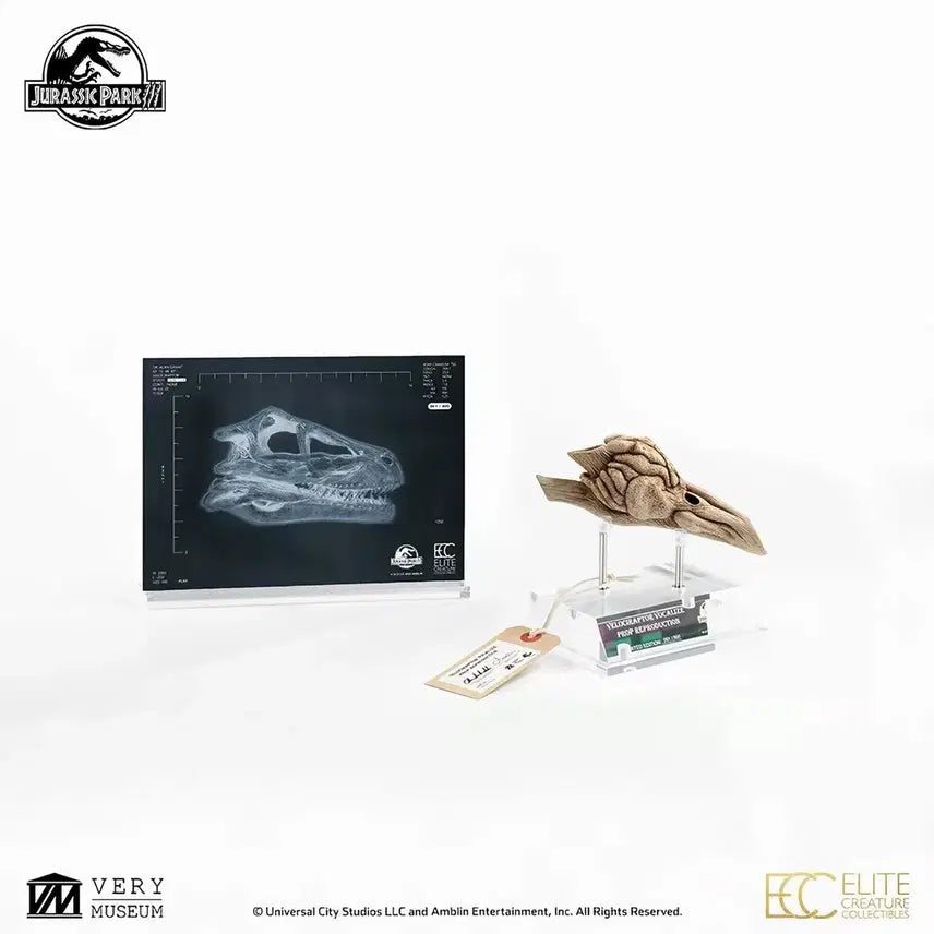 [BUNJANG] ECC Jurassic Park Velociraptor Resonance Chamber Sealed / ECC 쥬라기공원 벨로시랩터 공명실 미개봉품