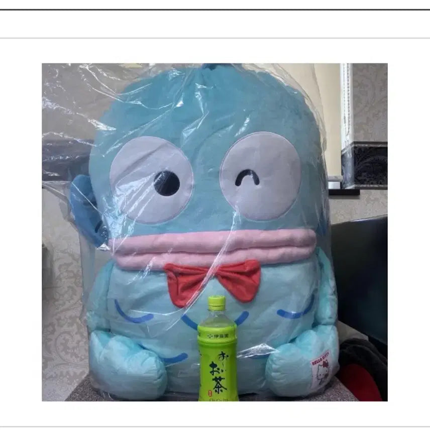 [BUNJANG] Hello Kitty Large Limited Edition Plush / 한교동 특대형 한정 인형 팝니다