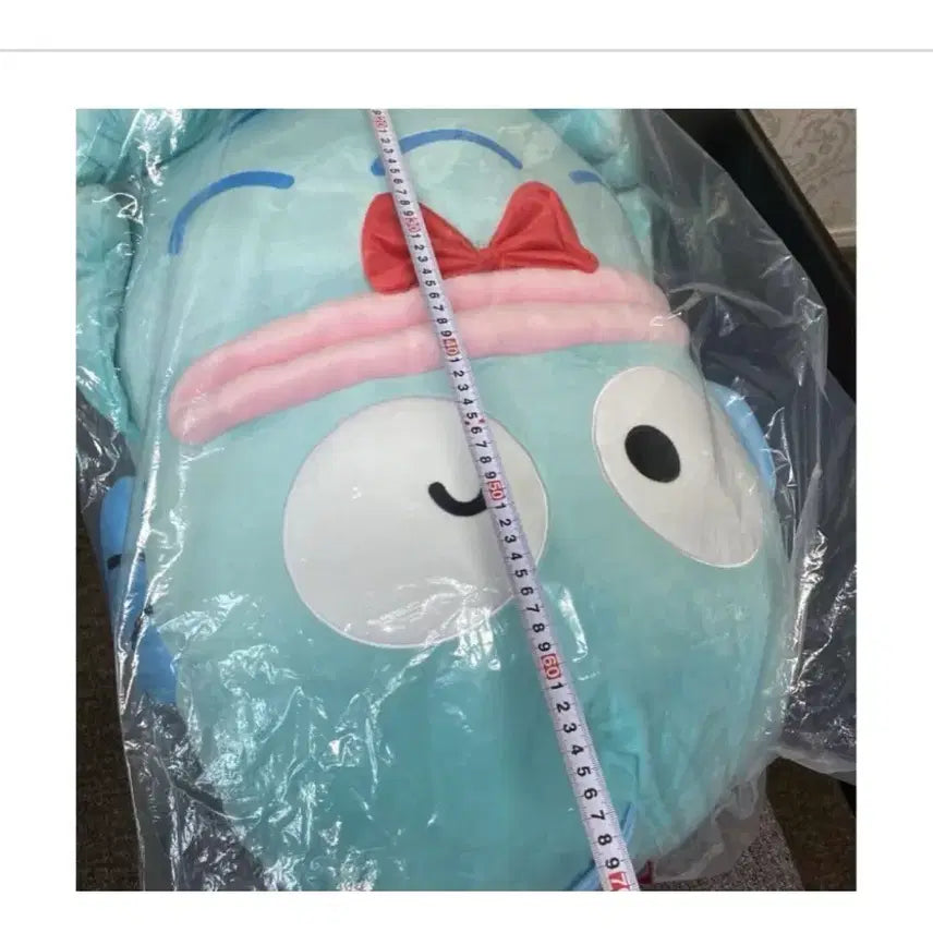 [BUNJANG] Hello Kitty Large Limited Edition Plush / 한교동 특대형 한정 인형 팝니다