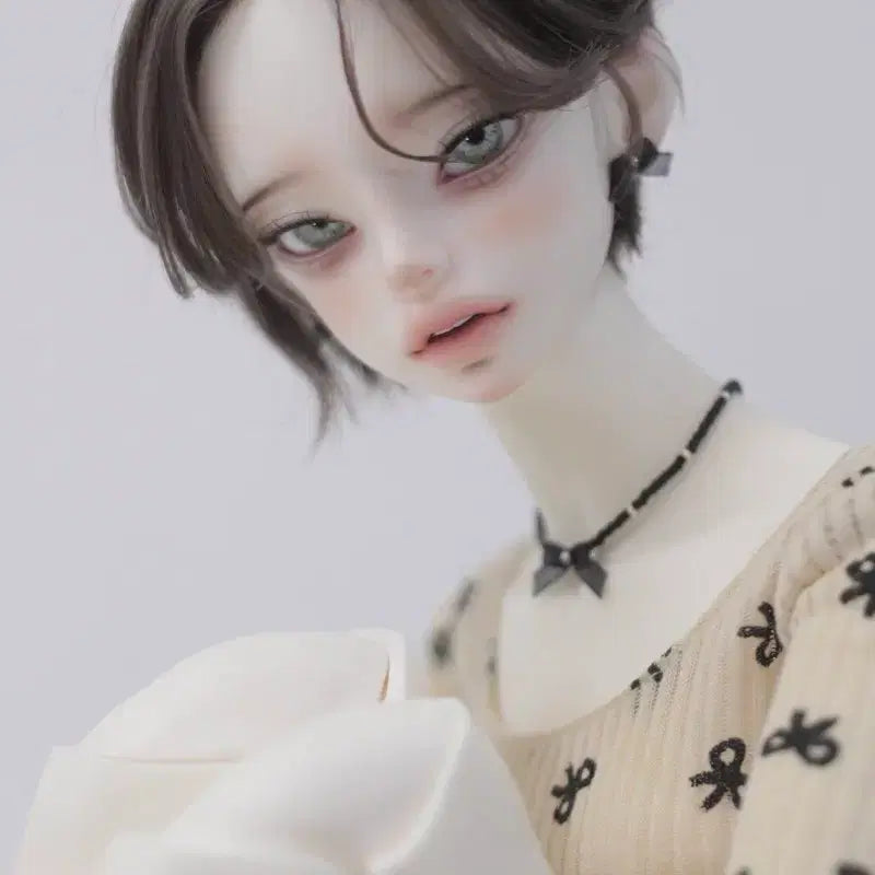 [BUNJANG] My Dear Boy Renewal Every Normal Head / 마이디어보이 리뉴얼 에버리 노멀헤드