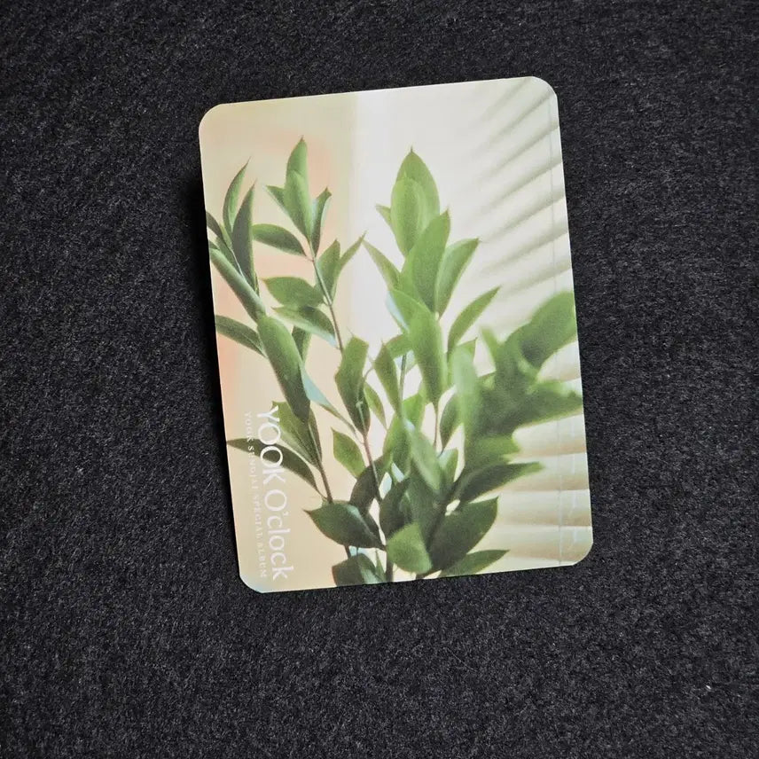[BUNJANG] BTOB Yook Sung Jae Solo Album Yuuk ECLAT Photocard / 비투비 육성재 솔로앨범 육어클락 포카