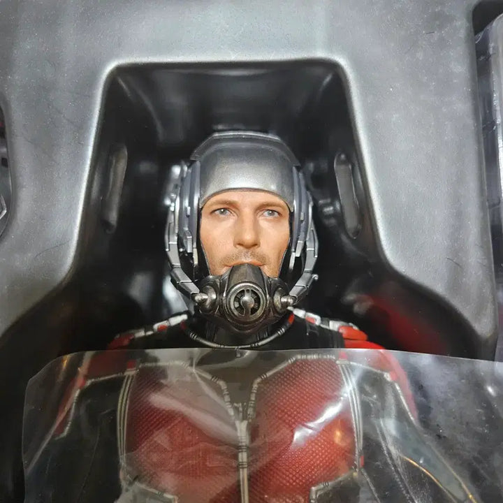 [BUNJANG] Hot Toys Ant-Man 1 Figure / 핫토이 앤트맨1 판매
