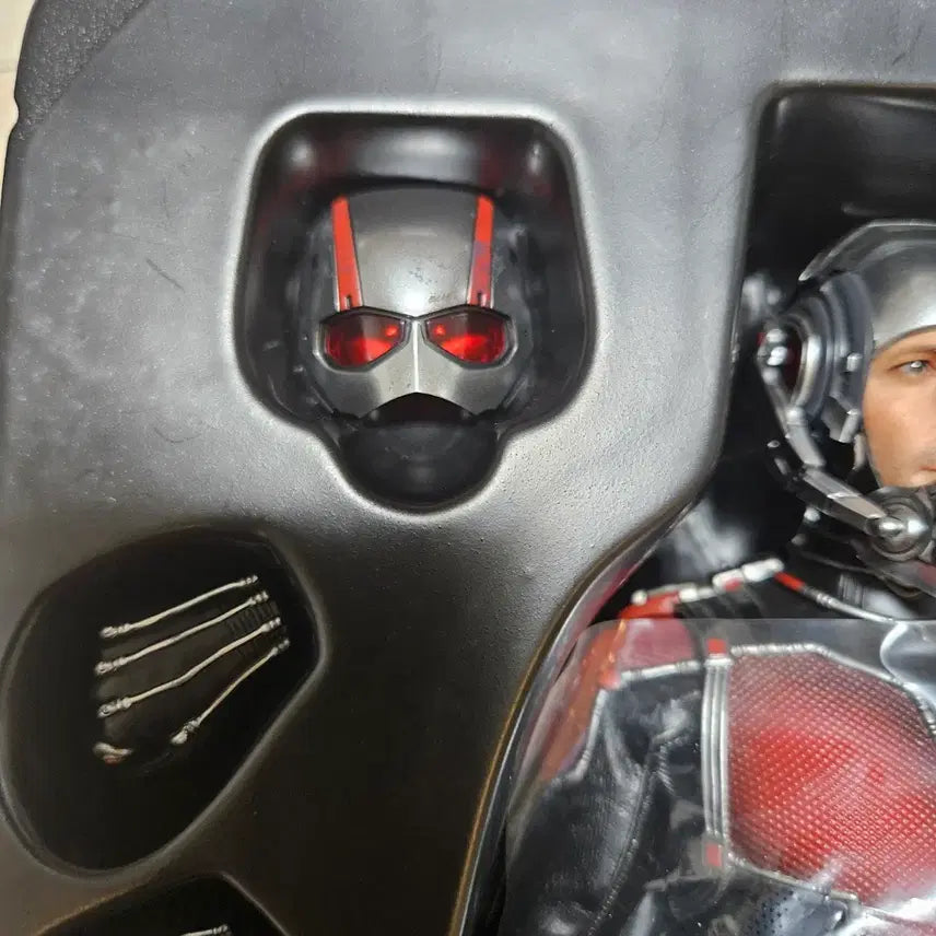 [BUNJANG] Hot Toys Ant-Man 1 Figure / 핫토이 앤트맨1 판매