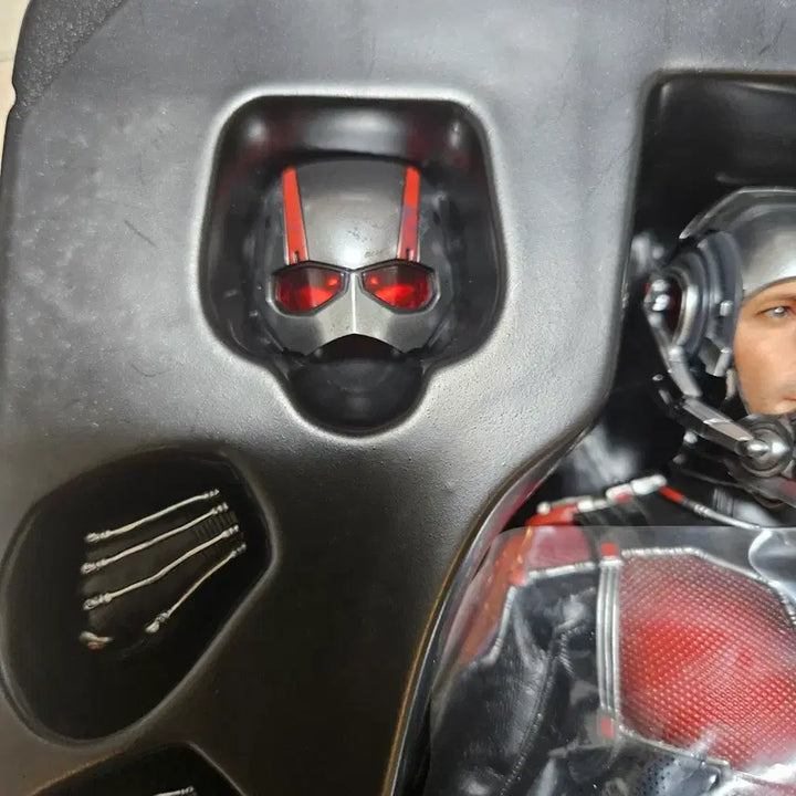 [BUNJANG] Hot Toys Ant-Man 1 Figure / 핫토이 앤트맨1 판매