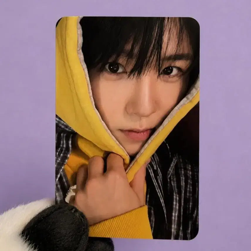 [BUNJANG] NCT WISH Jaehee Daeyoung Yoisho Japan Album Photocard / NCT WISH 엔시티 위시 재희 대영 요이동 일본 앨범 후드 포카 요이돈
