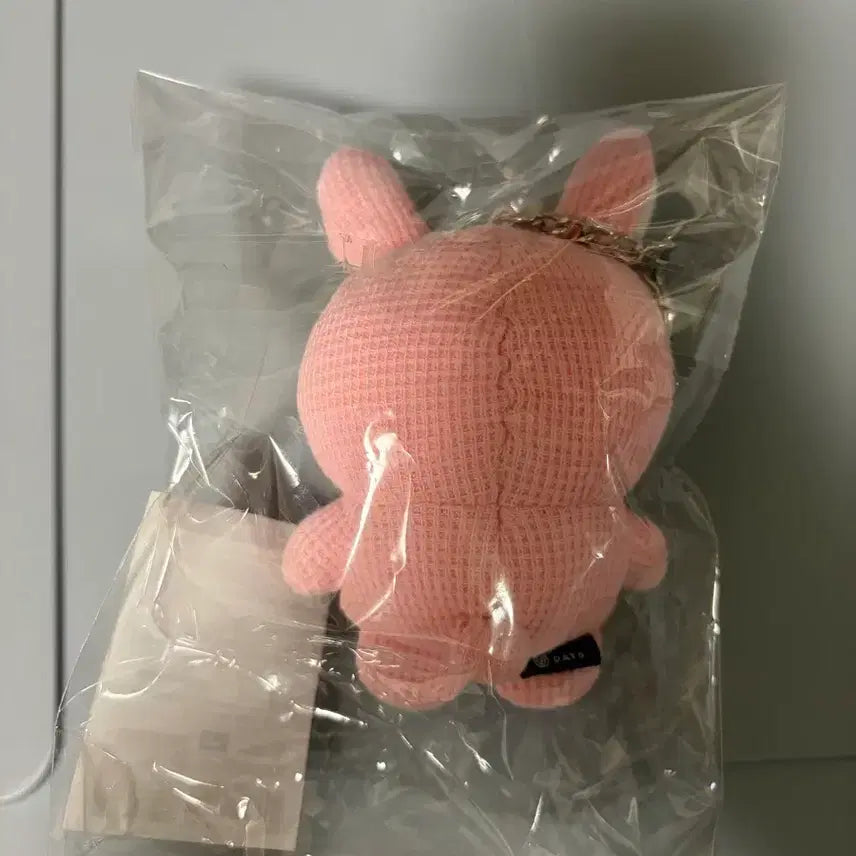 [BUNJANG] DAY6 DAY6 DENIMALS Wonpil Knit Malz Knit Keychain (Sealed) / (미개봉, 더 이상 가격인하 X) 데이식스 데니멀즈 니트멀즈 원필 니트키링
