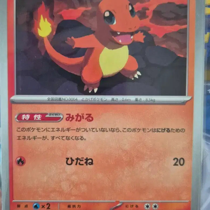 [BUNJANG] Pokemon Cards Japanese Set - Charmander, Magmar, Gothorita, Mega Mawile, Dustox, Golbat Bundle / 포켓몬카드 일판 파이리 펄스멍 치라미 명희 메가플라엣테 깨붕이 더스트나 골벳 일괄