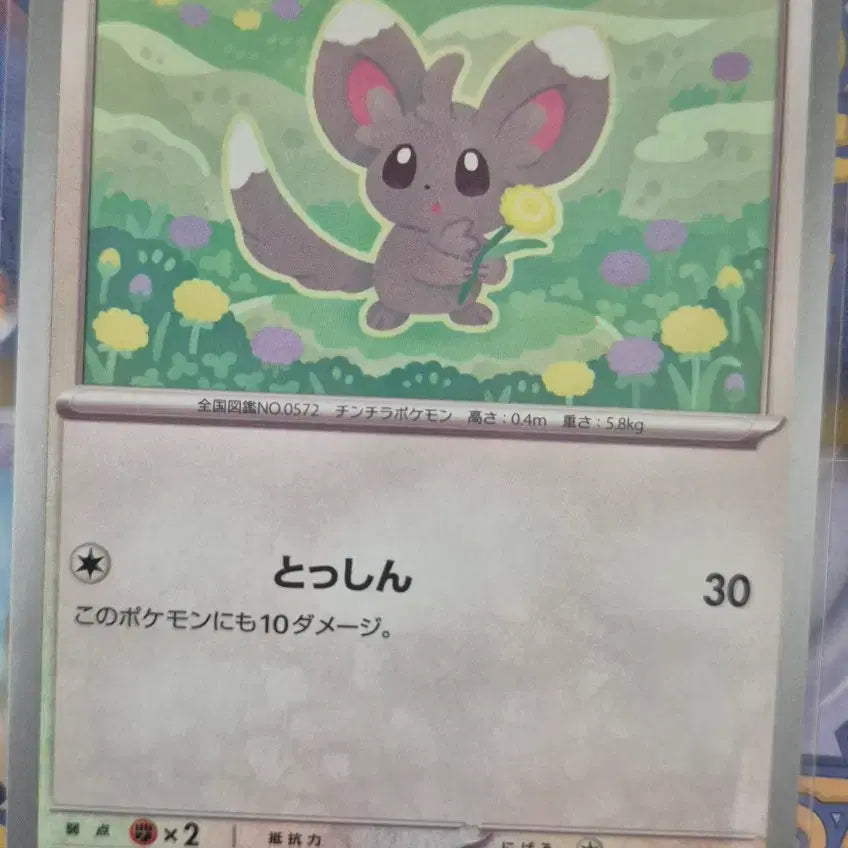 [BUNJANG] Pokemon Cards Japanese Set - Charmander, Magmar, Gothorita, Mega Mawile, Dustox, Golbat Bundle / 포켓몬카드 일판 파이리 펄스멍 치라미 명희 메가플라엣테 깨붕이 더스트나 골벳 일괄
