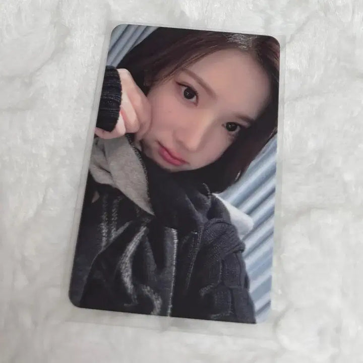 [BUNJANG] HaToHa Jiwoo Photocard / 하츠투하츠 하투하 지우 포커스 헬로라이브 포카 양도 판매