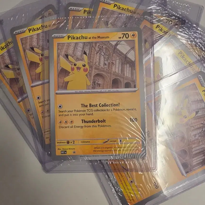 [BUNJANG] Natural History Museum London Promo Jumbo Pikachu Pokemon Card / 런던 자연사 박물관 프로모 점보 포켓몬 카드 피카츄