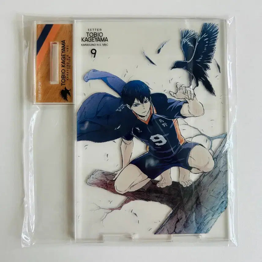 [BUNJANG] Haikyuu!! Tobio Kageyama Barefoot Acrylic Stand / 하이큐 카게야마 토비오 맨발 아크릴 스탠드