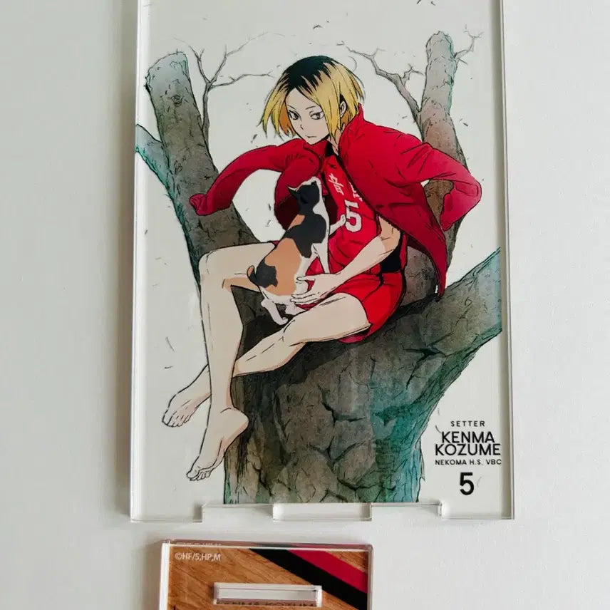 [BUNJANG] Haikyuu!! Kozume Kenma Barefoot Acrylic Stand / 하이큐 코즈메 켄마 맨발 아크릴 스탠드