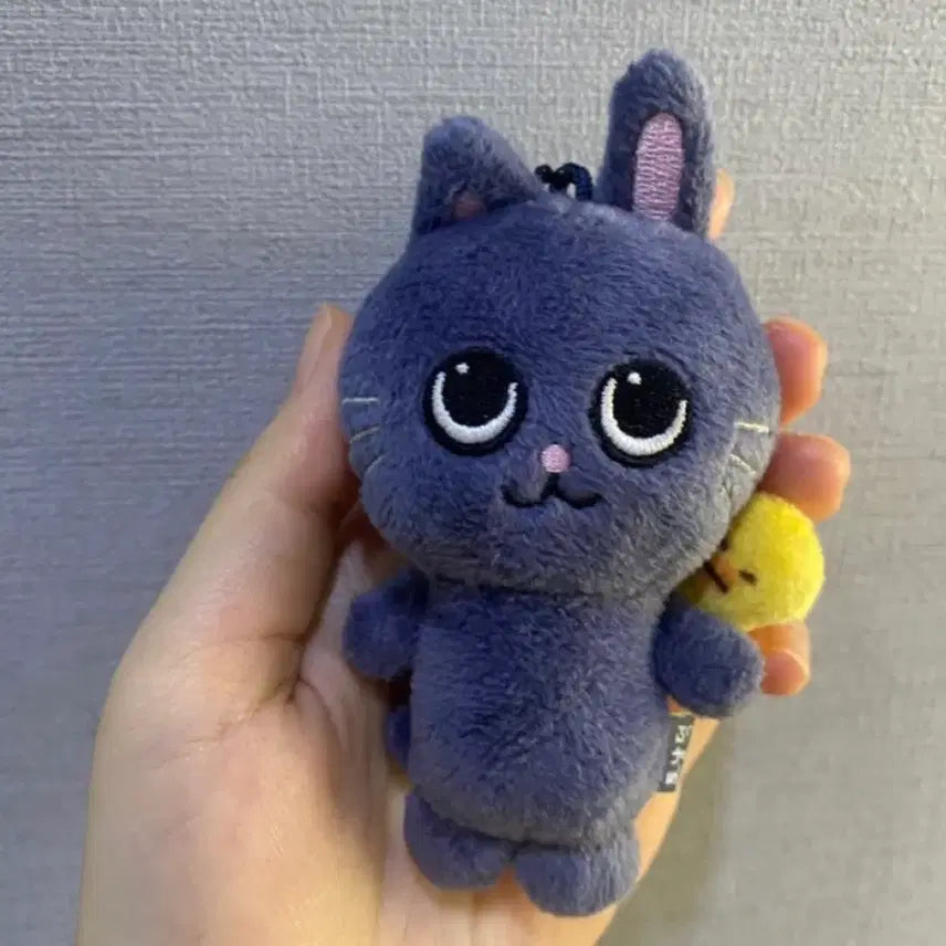 [BUNJANG] Baby Tonnyangdeok Plush / 베이비 토냥덕
