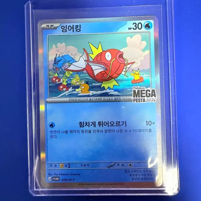 [BUNJANG] Pokemon Card Magikarp Promo Card / 포켓몬카드 잉어킹 프로모 카드