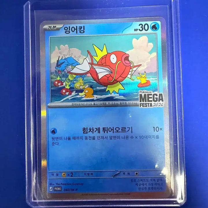 [BUNJANG] Pokemon Card Magikarp Promo Card / 포켓몬카드 잉어킹 프로모 카드