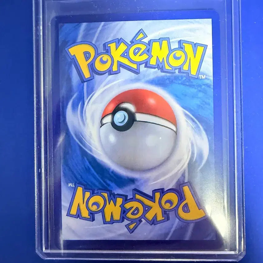 [BUNJANG] Pokemon Card Magikarp Promo Card / 포켓몬카드 잉어킹 프로모 카드