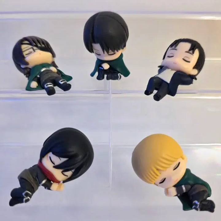 [BUNJANG] Attack on Titan Nemurasetei Gacha Set / 진격의거인 네무라세타이 5종 가챠