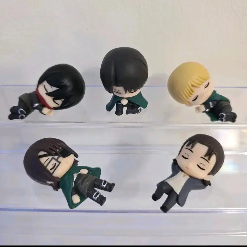 [BUNJANG] Attack on Titan Nemurasetei Gacha Set / 진격의거인 네무라세타이 5종 가챠