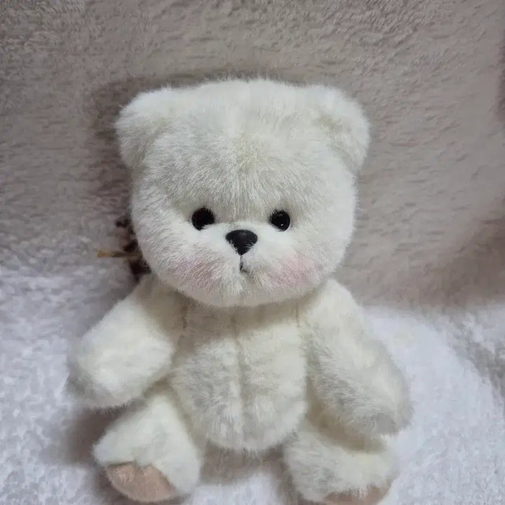 [BUNJANG] Teddy Tales Lena Bear XS Size White 15cm / (새상품)테디테일즈 레나베어 xs사이즈  화이트15cm