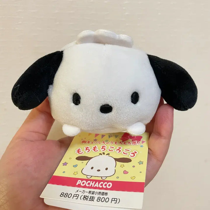 [BUNJANG] Sanrio Pochacco &