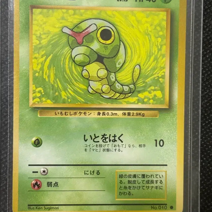 [BUNJANG] Pokemon Caterpie 1st Edition Card / 포켓몬카드 캐터피 초판 카드